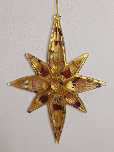 Etoile de Noël